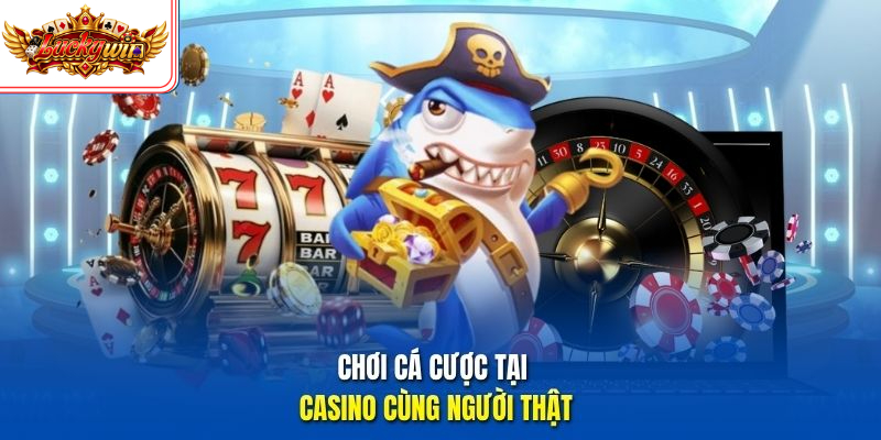 Chơi cá cược tại casino cùng người thật